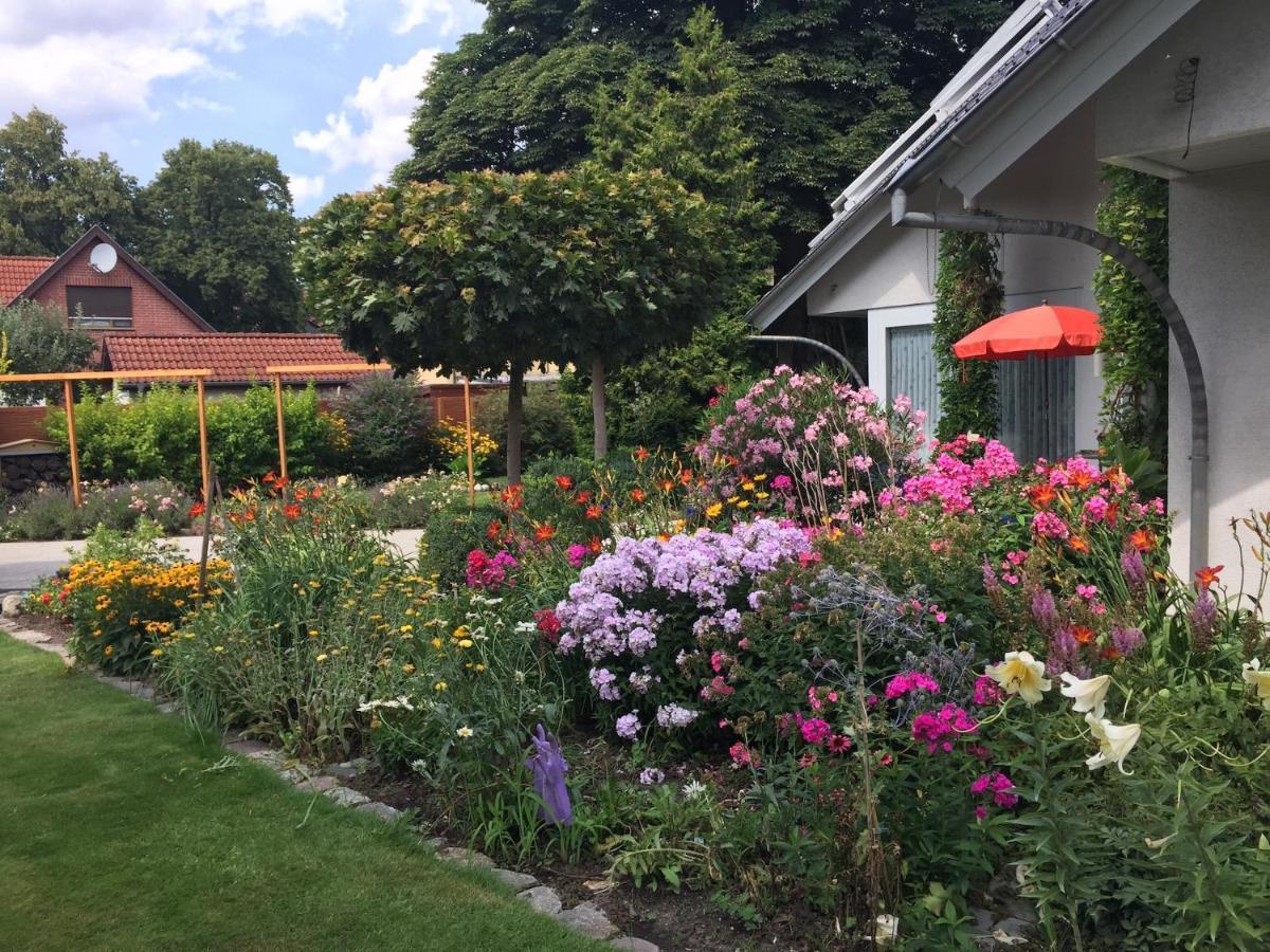 Villa "Auszeit" هوين نويندورف المظهر الخارجي الصورة