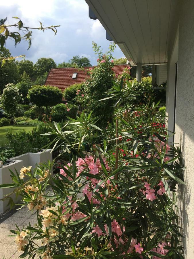 Villa "Auszeit" هوين نويندورف المظهر الخارجي الصورة